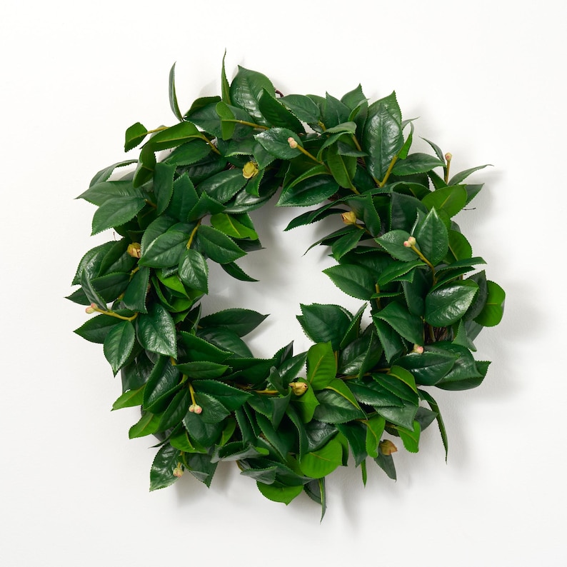 Lifelike All Seasons Camellia Leaf & Bud Everyday Winter Greenery Front Door Wreath -20" image 3