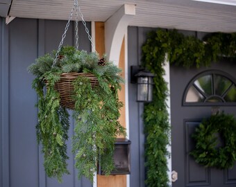 Into the Woods - Mixed Winter Greens with Bleached Sora Pod & Pinecone Faux Floral Winter Arrangement in Large Natural Rattan Hanging Basket