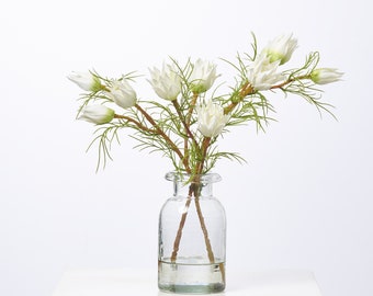 Mini White Protea Buds & Blooms in Small Clear Bottle Vase Everyday Spring Water Illusion Arrangement