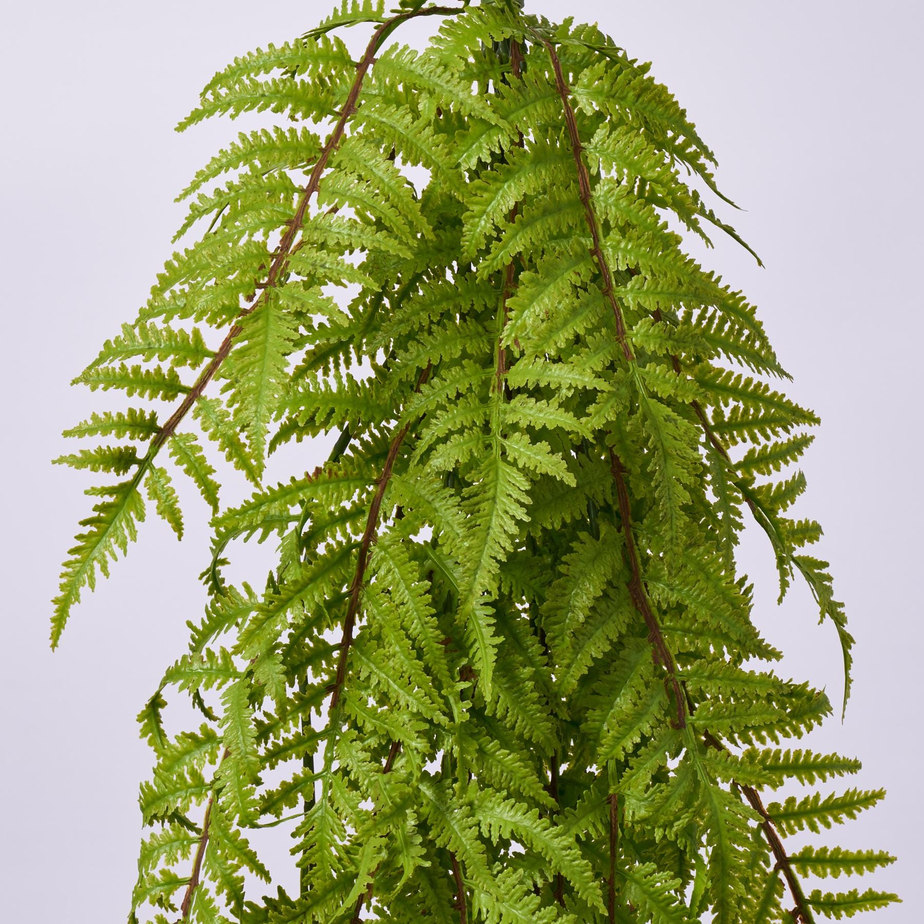 Vining Fern Real Touch Green Hanging Fern Vine Faux Everyday Greenery Bush Spray ...