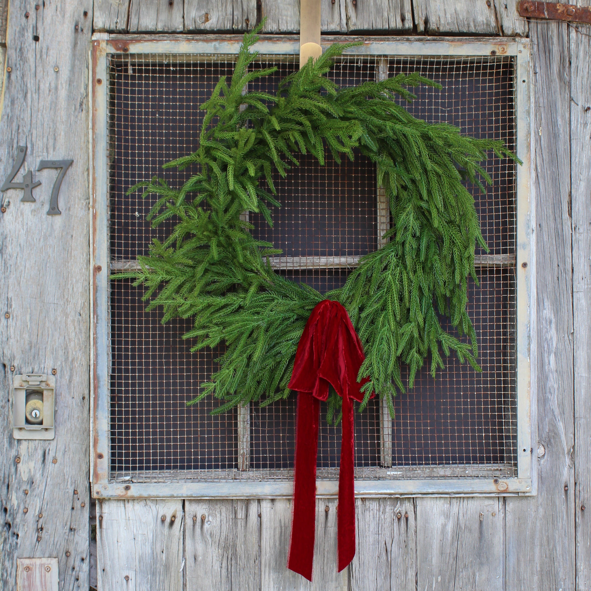 Real Touch Norfolk Pine Voordeur Kerstvakantie Winterkrans