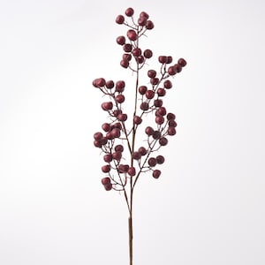 May include: A decorative floral stem featuring numerous small, round, dark red berries attached to thin, branching brown twigs. The stem is upright, showcasing a dense cluster of berries distributed along multiple offshoots from the main stalk.