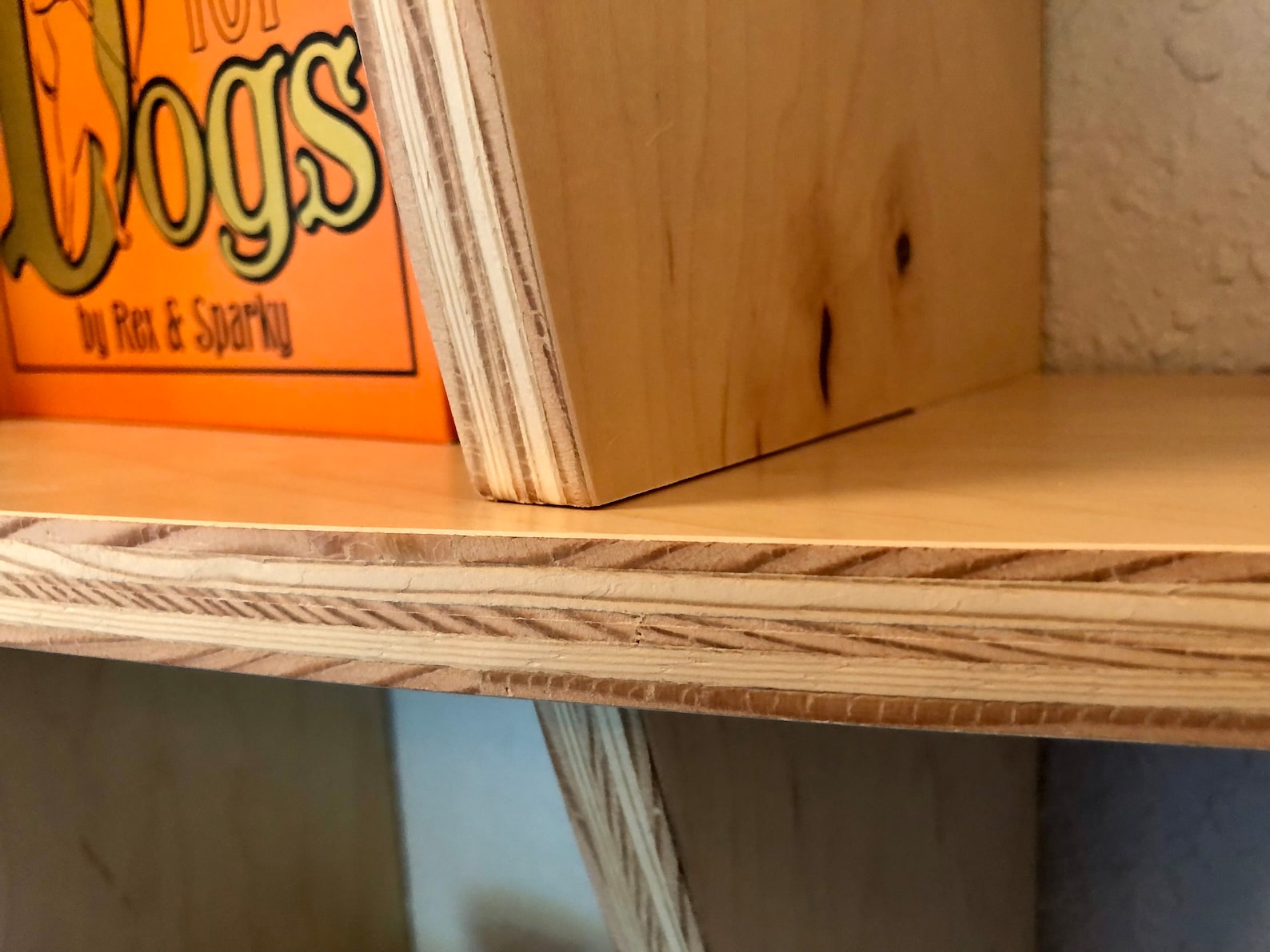 Wooden Wall Shelf Sphere Bookcase Round Hanging Wall Etsy