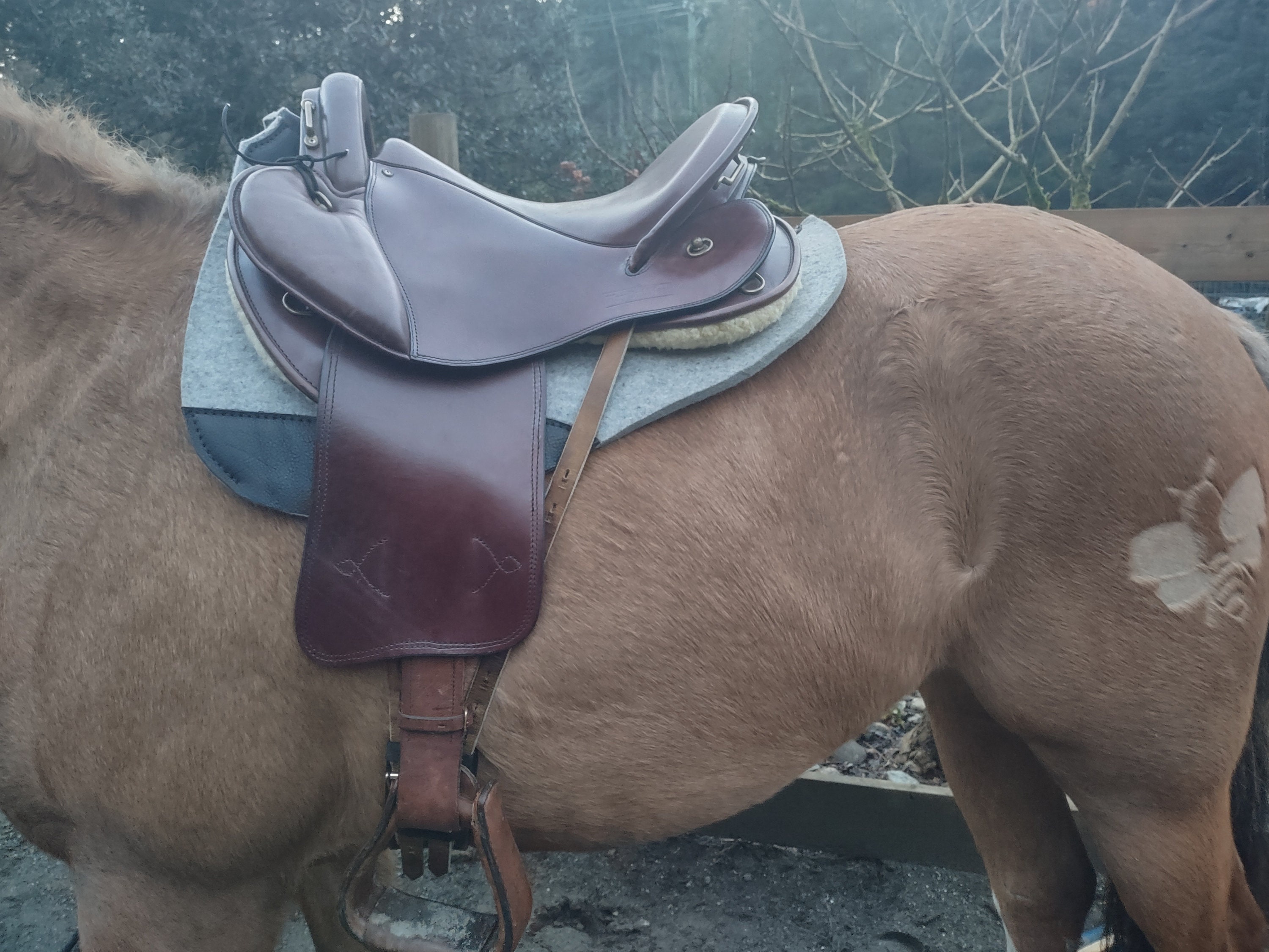 Round western saddle pad hotsell