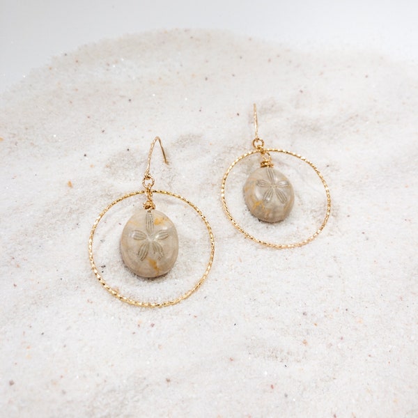 Sandollar Fossil Hoop Earrings