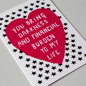 Funny Valentine's Card, for husband, wife, Relationship, Dark Humour, Anti Valentine, Valentine's Love, For Him, For Her FINANCIAL BURDEN image 2