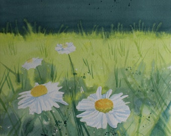 watercolour of daisies, wild flowers, meadow and field, spring flowers, watercolour landscape, field painting, daisy painting