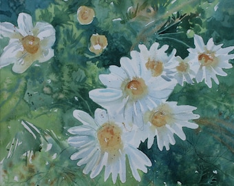 Daisy watercolour painting, watercolour of garden flowers, contemporary watercolour, summer daisies, flower painting