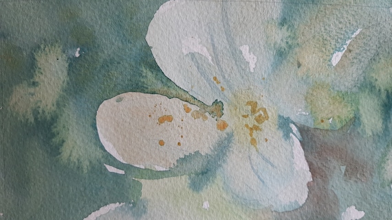 水彩画の花、春の花の水彩画、春の花の絵、春の庭、花の絵、白い
