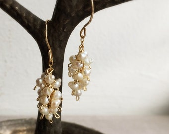 Fresh water pearl cluster earrings gold fill