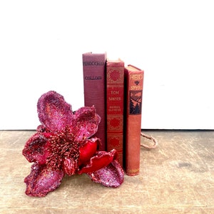 May include: A large, glittery, burgundy flower with a textured center rests on a wooden surface next to three vintage books. The books are various shades of red and have gold lettering. The books are titled "Pinocchio", "Tom Sawyer", and "Heidi".