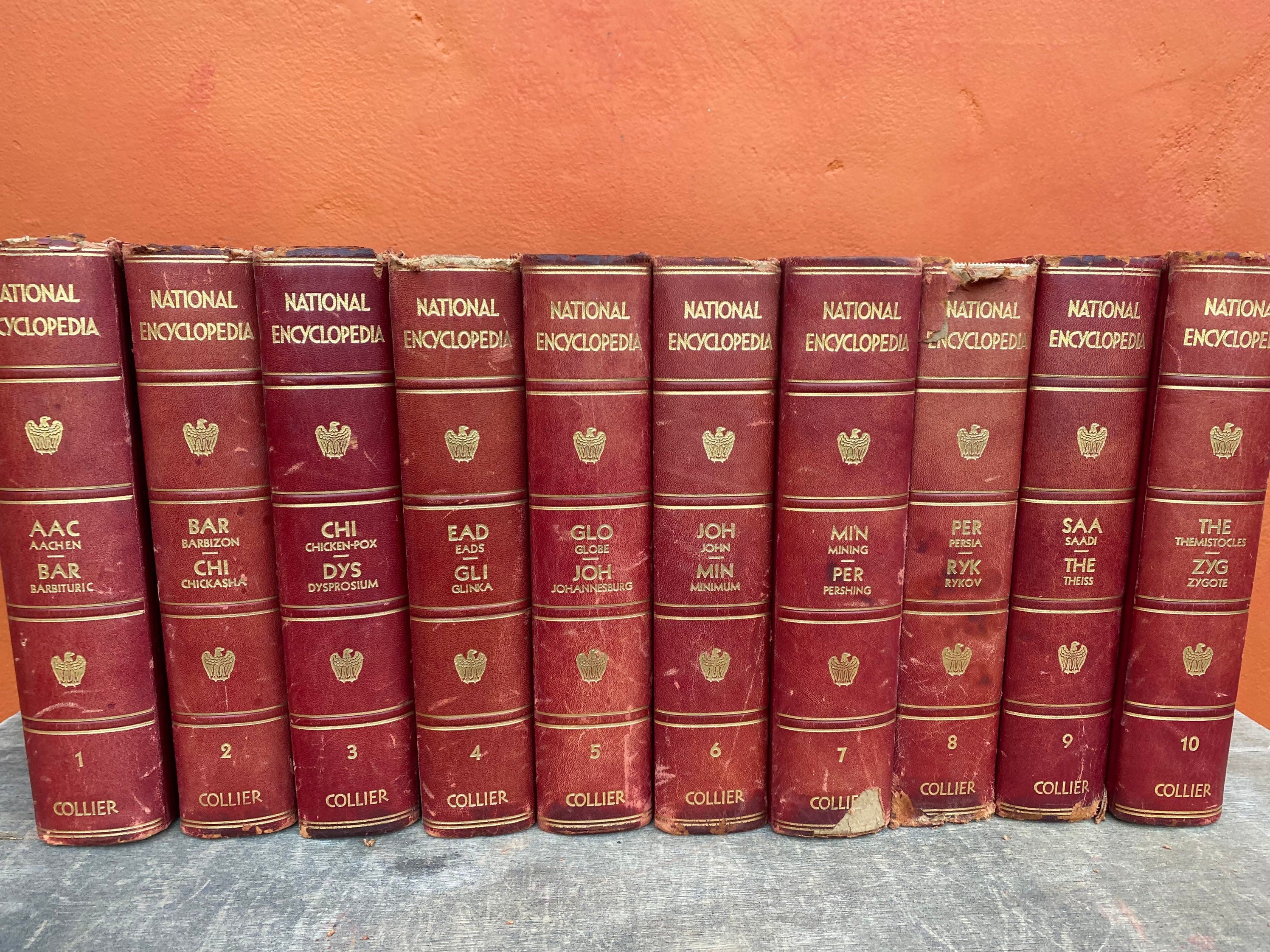 【洋書】encyclopedia international 【百科事典】 Britannica All New Children's Encyclopedia - What on Earth