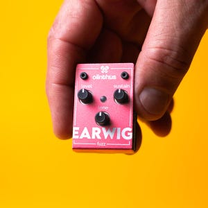 May include: A small, pink EARWIG fuzz guitar pedal with black knobs and the brand name "olinthus" printed at the top. The pedal has controls for level, tone, and sustain. The background is a bright yellow.