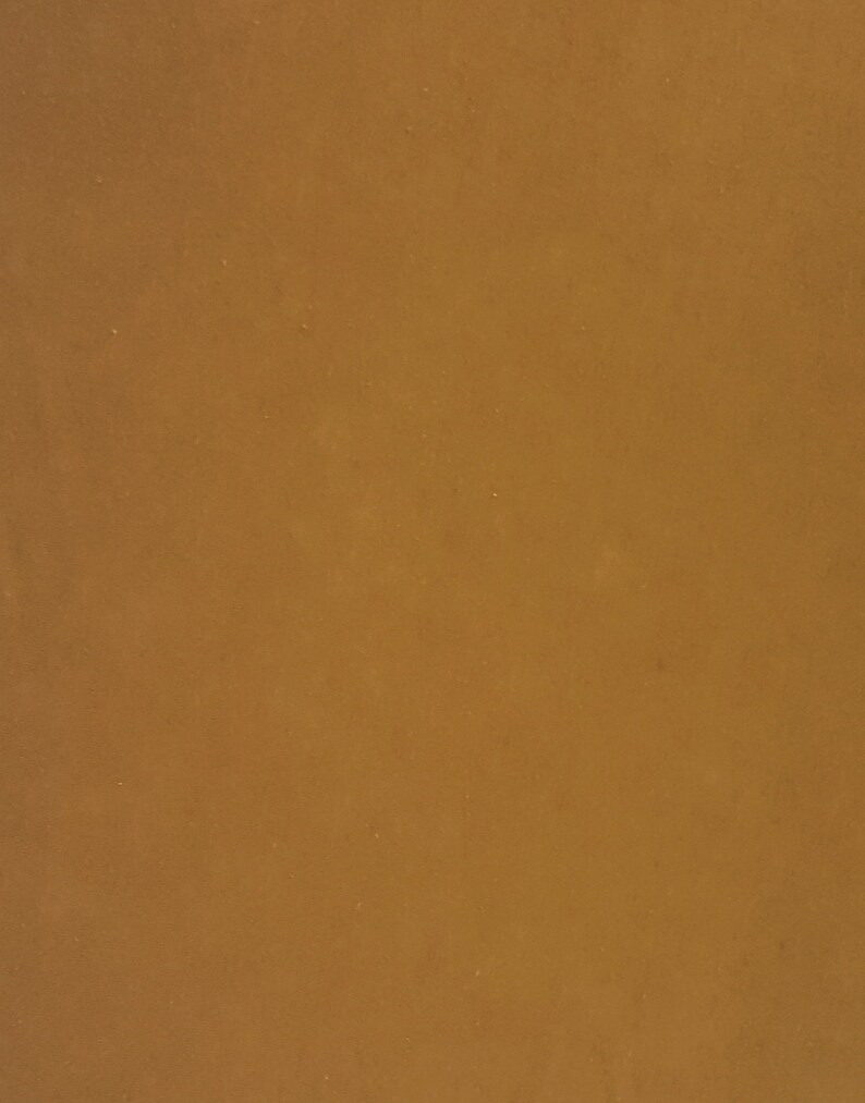 Dijon Tencel Fabric Jersey Knit by the Yard Flat Back Etsy