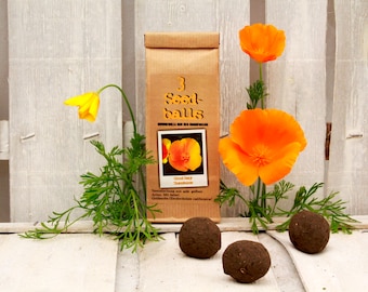 Seedballs Good Day Sunshine 3, 3 Seedbombs with yellow flower seeds, gift for garden lovers,