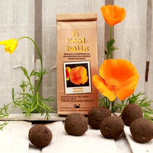 6 Seedballs, Good Day Sunshine, with yellow blossoming seed mix, gift for garden lovers image 1