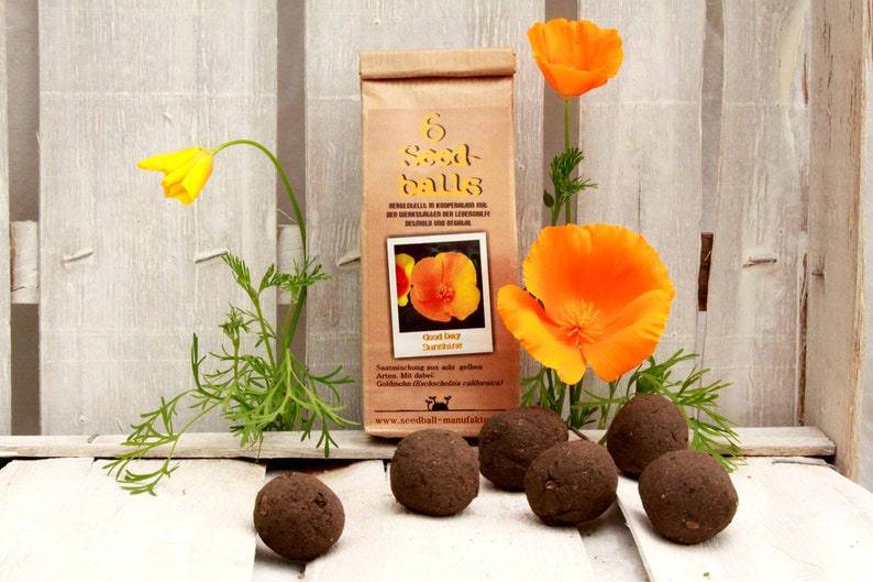 6 Seedballs, Good Day Sunshine, with yellow blossoming seed mix, gift for garden lovers image 1