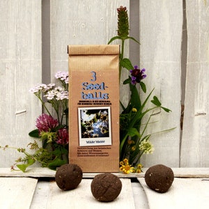 Seedballs Wilde Wiese 3er, mit Wildblumensamen regionaler Herkunft, Geschenk für Gartenfreunde, Bild 1