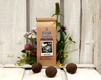 Seedballs Wilde Wiese 3er, with wildflower seeds of regional origin, gift for garden lovers,