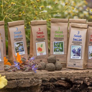 Seedballs Wilde Wiese 3er, mit Wildblumensamen regionaler Herkunft, Geschenk für Gartenfreunde, zdjęcie 2