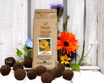 Seedballs big pack