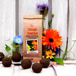 Seedballs Bee State Banquet 6-pack, seed bombs with bee-friendly seeds, gift for gardening enthusiasts,