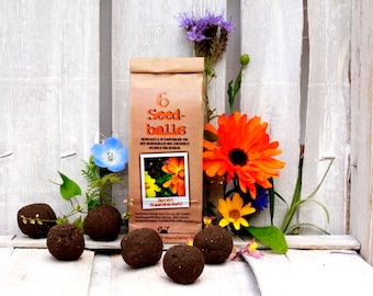 Seedballs Bee State Banquet 6er, Seedbombs with bee-friendly seeds, Gift for garden lovers,