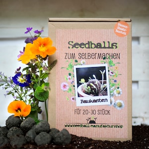 Seedball construction kit, gift for children, for making around 25 seed bombs, for children's birthdays, holiday games