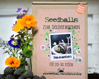 Seedball construction kit, gift for children, for making around 25 seed bombs, for children's birthdays, holiday games