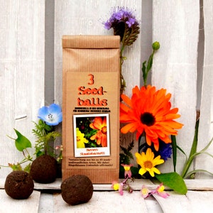 Seedballs Bienenstaatsbankett 3er, Seedbombs mit bienenfreundlichem Saatgut, Geschenk für Gartenfreunde, Bild 1