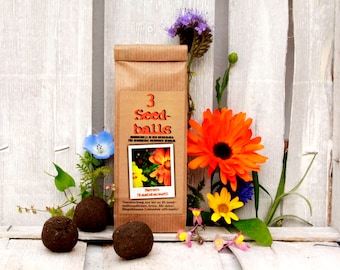 Seedballs Bee State Banquet 3er, Seedbombs with bee-friendly seeds, gift for garden lovers,