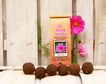 Seedballs Rosa Flora 6er, Seedbombs with pink flower seeds, gift for garden lovers,