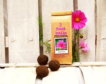 Seedballs Rosa Flora 3er, Seedbombs mit rosa blühenden Blumensamen, Geschenk für Gartenfreunde,