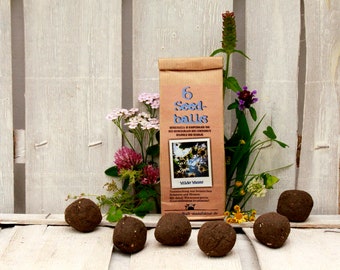 Seedballs Wilde Wiese 6er, Seedbombs with wildflowers from regional seeds, gift for garden lovers,