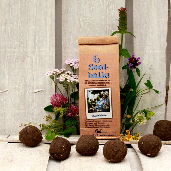 Seedballs Wilde Wiese 6er, Seedbombs mit Wildblumen aus regionalem Saatgut, Geschenk für Gartenfreunde,