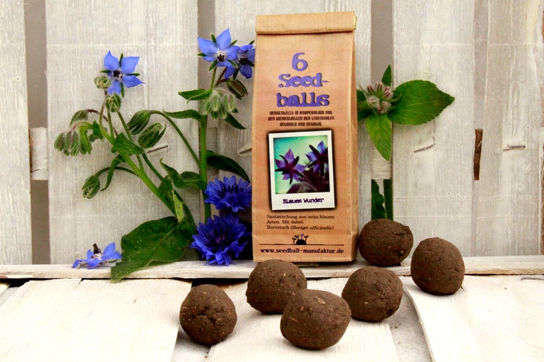 Seedballs Blaues Wunder 6er, Seedbombs mit blaublühenden Blumensamen, Geschenk für Gartenfreunde, Bild 1