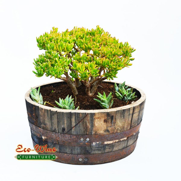 1/4  Whiskey barrel planter