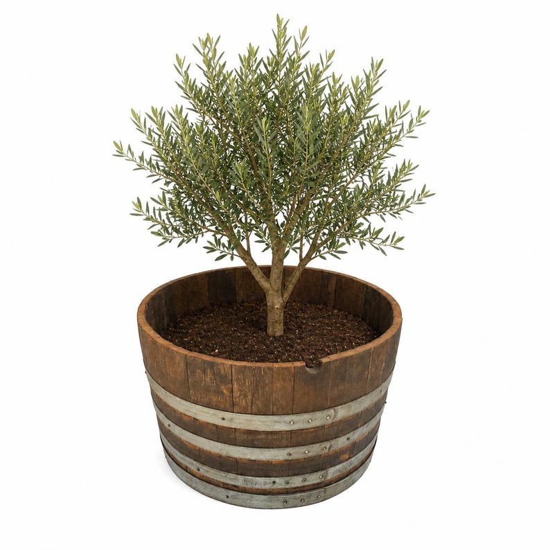 EcoWineFurniture Wine Barrel Planter - Thumbnail 2