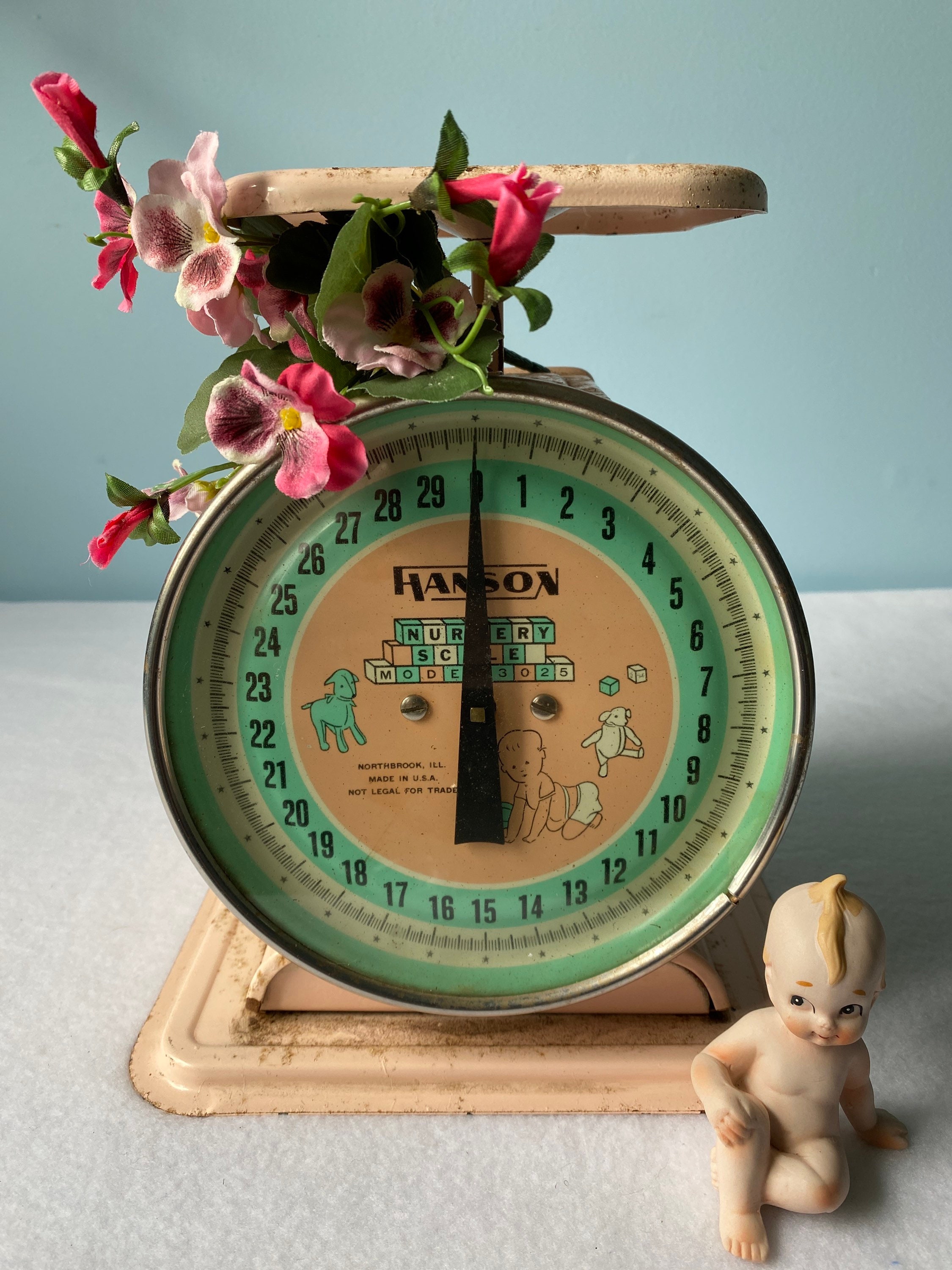 Hanson Scale - Etsy