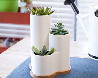 Succulent Pot Curvy Modern and Minimal Planter for Three 4oz/2.5" Plants Cactus 3D Printed