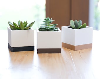 Succulent Pot Modern Square Planter for 4oz/2.5” Plants Cactus 3D Printed
