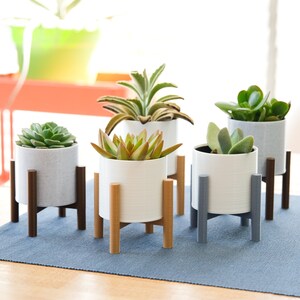 Succulent Pot Mid Century Modern Minimal Planter for 4oz/2.5” Plants Cactus 3D Printed