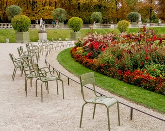 Fall in Paris photograph, fine art Paris photography by Falling Off Bicycles, travel photo, Luxembourg Garden, golden autumn colors