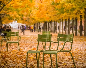 Fall in Paris photograph, fine art Paris photography, travel photo, golden autumn colors