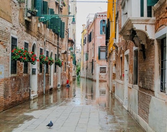 Venice flood, Italy scene, fine art travel photography, travel photo, wall decor by Julia Willard