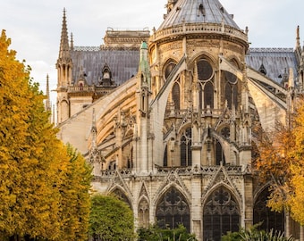 Notre Dame de Paris Fall photograph, fine art Paris photography, travel photo, golden autumn colors