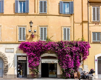 Rome, Italy door, Falling Off Bicycles, bougainvillea flower photography, travel photo, wall decor by Julia Willard