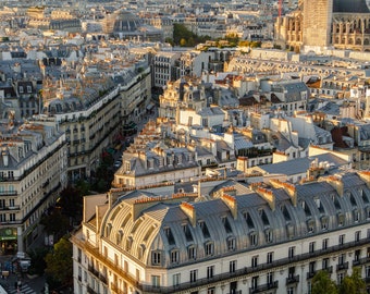 View over Parisian rooftops, Eiffel Tower and Paris rooftop photo by Julia Willard Falling Off Bicycles