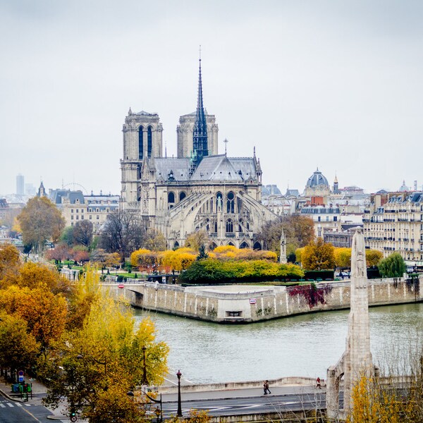 Parisian aerial view Notre Dame Paris, fine art paris photography, b&w photography, travel photo, wall decor