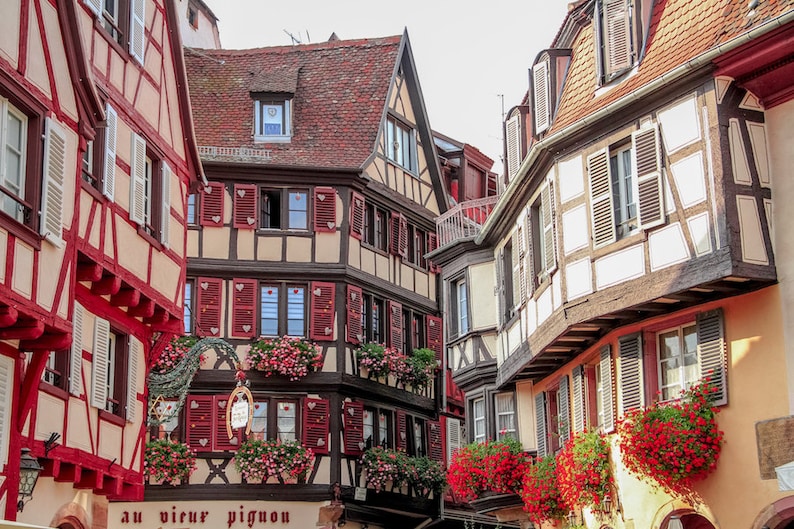 Colorful Colmar Alsace, France photo, Falling Off Bicycles travel photo, red fine art photography image 1